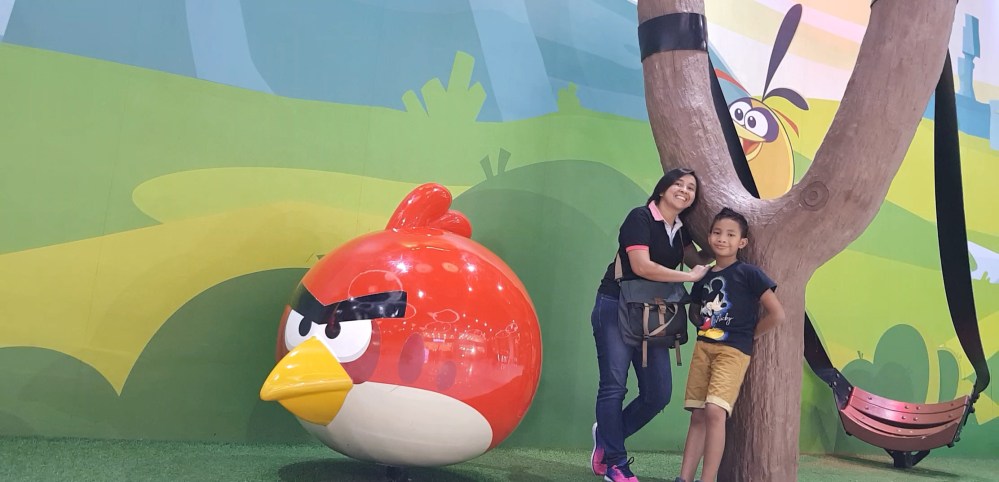 angry birds johor bahru malaysia jangan menyerah