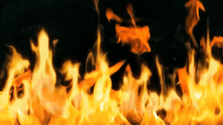 WatchfulObeseBarasingha-size_restricted