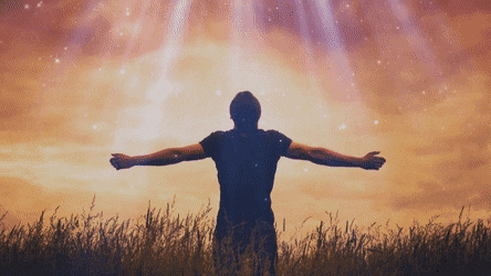 CooperativeClutteredBarb-size_restricted